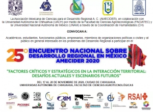 Mexican Section: 25th AMECIDER Conference, November 17-20, 2020, Online